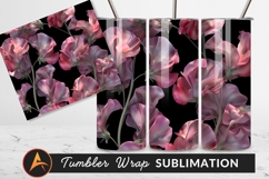 Pink Sweet Pea Flowers On Black Background Product Image 1