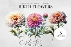Birth Month Flowers Clipart, September Aster PNG. Product Image 1