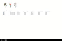 Aster Vintage Floral Botanical Clip Art Product Image 2