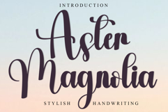 Aster Magnolia Product Image 1