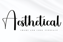 Aesthetical Product Image 1