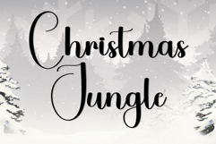 Aesthetical Product Image 6