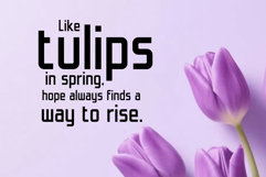 Astria Product Image 7