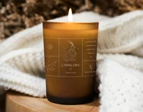 Zodiac Signs and Horoscope Icons, Astrology Branding Logo. Product Image 13