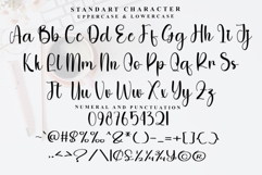 Astronout Product Image 6