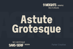 Astute Neo-Grotesque Modern Sans-Serif Product Image 1