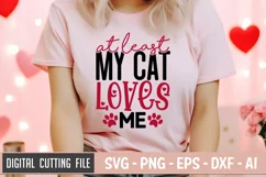 At Least My Cat Loves Me SVG File | Anti Valentine's Day SVG Product Image 2