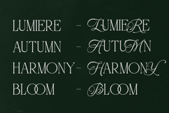 Atelier Blume - Elegant Serif Font with Script Alternates Product Image 11