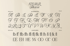 Atelier Blume - Elegant Serif Font with Script Alternates Product Image 14