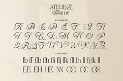 Atelier Blume - Elegant Serif Font with Script Alternates Product Image 14