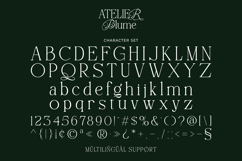 Atelier Blume - Elegant Serif Font with Script Alternates Product Image 15