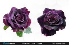 Watercolor Dark Purple Rose Clipart Product Image 1