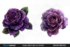Watercolor Dark Purple Rose Clipart Product Image 1