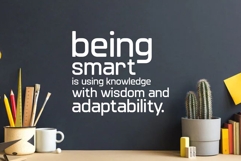 Athena Product Image 6