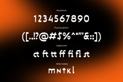 Athenzo - Sleek Modern Reverse Contrast Logo Sans Product Image 3