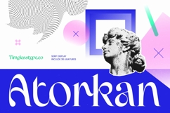 Atorkan - Serif Display Font Product Image 1