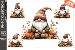 Autumn Gnomes Product Image 1