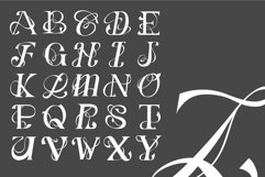 Abstract Type Elegance - Illustration Product Image 3