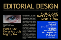 Aurisma Sans Serif Font Family Product Image 8