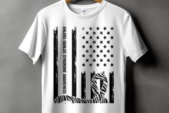 Ehlers Danlos Syndrome Svg Png Ehlers Danlos Flag Product Image 1