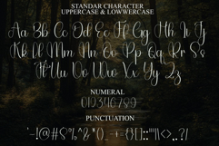 Autography Christmas Product Image 7