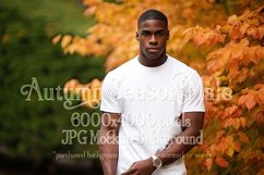 Autumn Male Background, Autumn Man Mockup, T-Shirt Mockup 11 Product Image 1