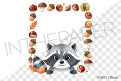Raccoon Autumn Acorn Square PNG fall Clipart Illustration Product Image 1