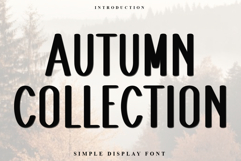 Autumn Collection Product Image 1