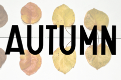 Autumn Farmhouse Product Image 4