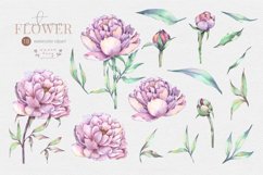 Peony Moody Floral Watercolor Clipart Product Image 2