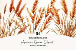 Autumn Grass Clipart Product Image 1