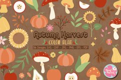 Autumn Harvest Pumpkin Color Flat Doodle svg | Fall svg Product Image 1