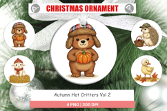 Ornament Autumn Hat Critters Product Image 1