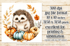 Autumn Hedgehog Wind Spinner, Autumn Hedgehog Round, d2 Product Image 2