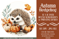 Autumn Hedgehog Wind Spinner, Autumn Hedgehog Round, d3 Product Image 1