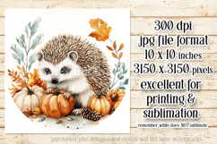 Autumn Hedgehog Wind Spinner, Autumn Hedgehog Round, d3 Product Image 2