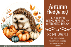 Autumn Hedgehog Wind Spinner, Autumn Hedgehog Round, d4 Product Image 1