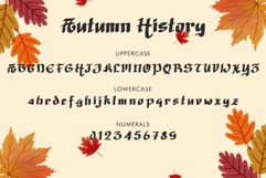 Autumn History Product Image 4