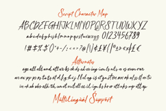 Autumn in Philadelphia - Handcrafted Script &amp; Serif Font Duo Product Image 13