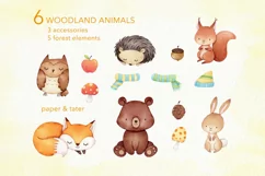 Watercolor Autumn Woodland Clipart, Fall Forest Animals PNG Product Image 5