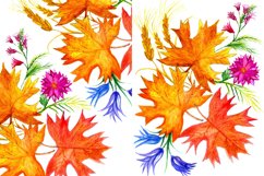 Yellow maple autumn leaves drawing Product Image 2