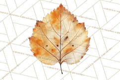 Autumn Leaves Clipart, Fall Foliage Clip Art, PNG Product Image 2