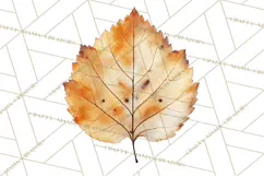 Autumn Leaves Clipart, Fall Foliage Clip Art, PNG Product Image 2