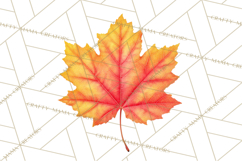 Autumn Leaves Clipart, Fall Foliage Clip Art, PNG Product Image 3