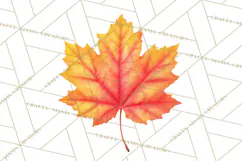 Autumn Leaves Clipart, Fall Foliage Clip Art, PNG Product Image 3