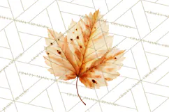 Autumn Leaves Clipart, Fall Foliage Clip Art, PNG Product Image 4