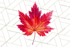 Autumn Leaves Clipart, Fall Foliage Clip Art, PNG Product Image 3