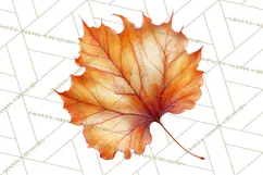 Autumn Leaves Clipart, Fall Foliage Clip Art, PNG Product Image 4