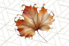 Autumn Leaves Clipart, Fall Foliage Clip Art, PNG Product Image 5