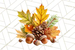 Autumn Leaves Clipart, Fall Foliage Clip Art, PNG Product Image 2
